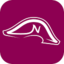 Napoleon Casino Logo